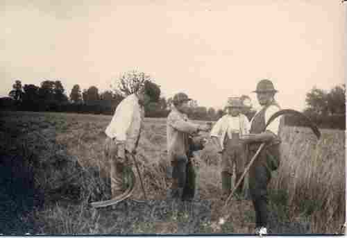 Title: resource:20060923152845 File Size: 8.92 KB Dimensions: 500px x 343px