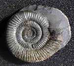 Title: resource:20061003085647 File Size: 5.2 KB Dimensions: 150px x 134px