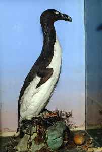 Title: resource:20061003172931 File Size: 6.69 KB Dimensions: 202px x 300px