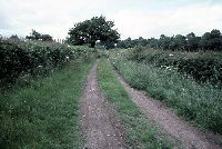 Title: Watling Street (image)
File Size: 10.97 KB
Dimensions: 200px x 134px