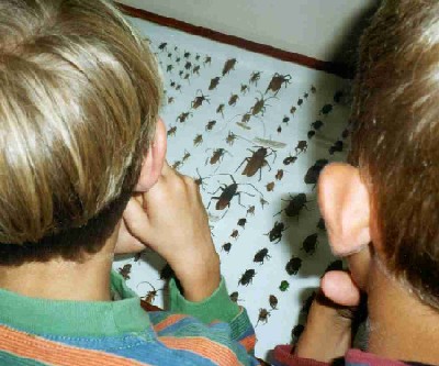 Title: resource:20070116115027 File Size: 44.32 KB Dimensions: 400px x 333px