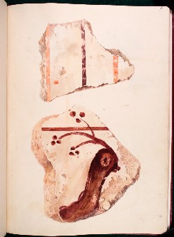 Title: resource:20080118130542 File Size: 22.66 KB Dimensions: 250px x 340px