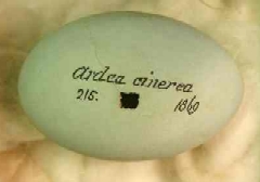 Title: resource:20080221153311 File Size: 22.29 KB Dimensions: 240px x 168px