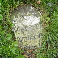 Title: A Colour Photograph of the Milestone at NGR SO 322 903 approximately 220m to South of Heblands Cottage, Heblands Bank.
File Size: 22.14 KB
Dimensions: 224px x 223px