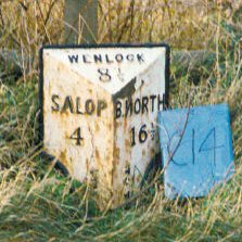 Title: A Colour Photograph of the Metal Milepost at NGR SJ 530 081 approximately 300 metres South East of Burnt Tree Cross on the A458.
File Size: 19.72 KB
Dimensions: 223px x 223px