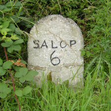 Title: A Colour Photograph of the Stone Milepost at NGR SJ 440 054 on Longden Road.
File Size: 19.72 KB
Dimensions: 224px x 223px