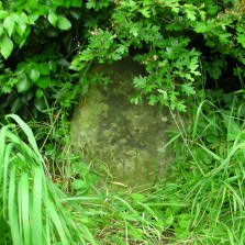 Title: A Colour Photograph of the Stone Milepost at NGR SJ 529 046 70 metres to East of North Lodge.
File Size: 21.35 KB
Dimensions: 223px x 223px