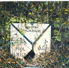 Title: A Colour Photograph of the Stone Milepost at NGR SJ 416 132 approximately 90 metres to West of Butlane Head on the A458, Ford.
File Size: 24.24 KB
Dimensions: 223px x 219px