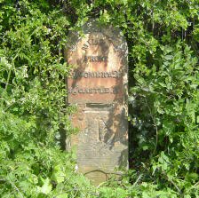 Title: A Colour Photograph of the Stone Milepost with metal plate at NGR SO 246 936 on the B4385.
File Size: 24.72 KB
Dimensions: 224px x 223px
