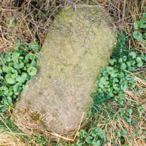 Title: A Colour Photograph of the Stone Milepost at NGR SO 324 969 at Appletree Farm on the A488.
File Size: 23.04 KB
Dimensions: 208px x 208px
