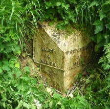 Title: A Colour Photograph of the Metal Milepost at NGR SJ 555 330 at Shrewsbury Street.
File Size: 21.05 KB
Dimensions: 225px x 223px