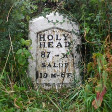 Title: A Colour Photograph of the Metal Milepost with Metal Plate at NGR SJ 302 326 near the hospital on the A483.
File Size: 20.32 KB
Dimensions: 223px x 223px