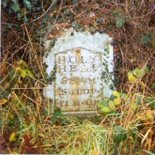 Title: A Colour Photograph of the Metal Milepost with Metal Plate at NGR SJ 353 235 at Long Oak on the A5.
File Size: 22.43 KB
Dimensions: 221px x 221px
