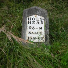Title: A Colour Photograph of the Metal Milepost with Metal Plate at NGR SJ 342 264 South of Queens Head on the A5.
File Size: 17.71 KB
Dimensions: 223px x 223px