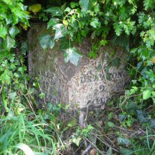 Title: A Colour Photograph of the Metal Milepost at NGR SJ 649 332 approximately 25 metres South West of Fordhall Cottages on the A53.
File Size: 21.46 KB
Dimensions: 223px x 223px