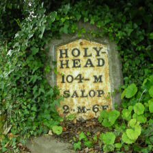 Title: A Colour Photograph of the Metal Milepost with Metal Plate at NGR SJ 456 142 approximately 160 metres South East of The Four Crosses Public House on the A5.
File Size: 18.99 KB
Dimensions: 224px x 223px