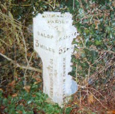 Title: A Colour Photograph of the Metal Milepost at NGR SJ 475 165 approximately 180 metres North of Cross Green Farmhouse on the B5067.
File Size: 19.86 KB
Dimensions: 225px x 223px