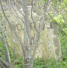 Title: A Colour Photograph of the Stone Milepost at NGR SO 447 889 South of the Acton Scott junction on the East side of the A49.
File Size: 18.86 KB
Dimensions: 222px x 223px