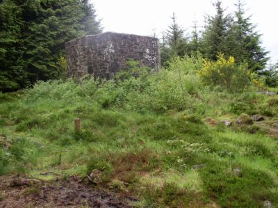 Title: resource:20090313102640 File Size: 39.05 KB Dimensions: 400px x 299px