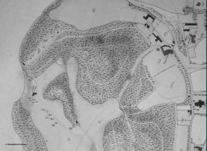 Title: resource:20091006145349 File Size: 16.04 KB Dimensions: 300px x 219px